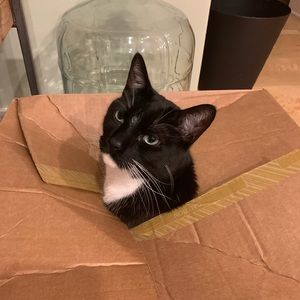 Meet your Posher, Meredith